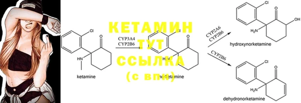шишки Армянск