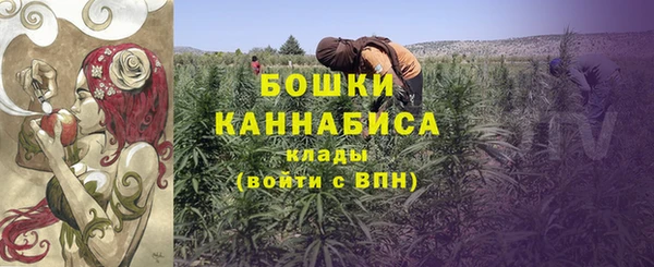 шишки Армянск