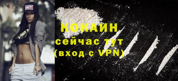 шишки Армянск